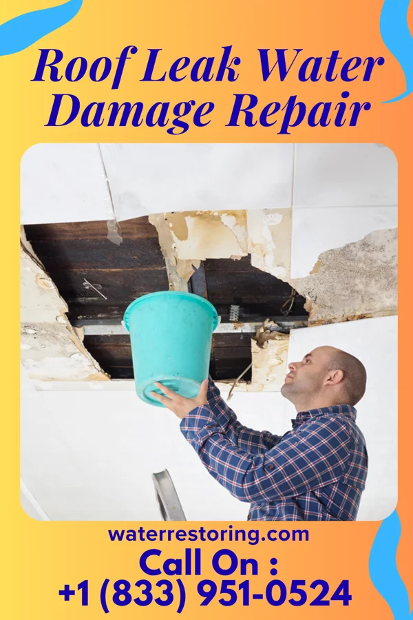 Roof Leak Water Damage Repair in North Powder, OR