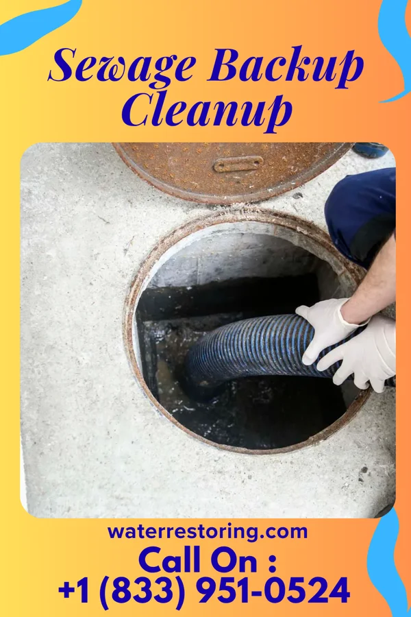 Sewage Backup Cleanup in North Powder, OR